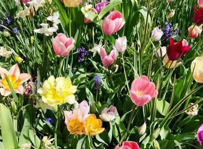 Cosy House For Ocean & Nature Lovers Дом отдыха *