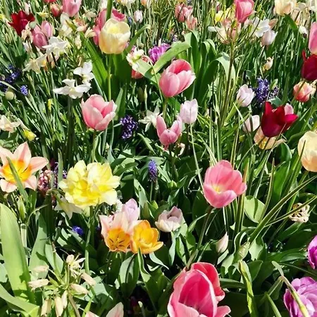 Cosy House For Ocean & Nature Lovers Prázdninový dům *